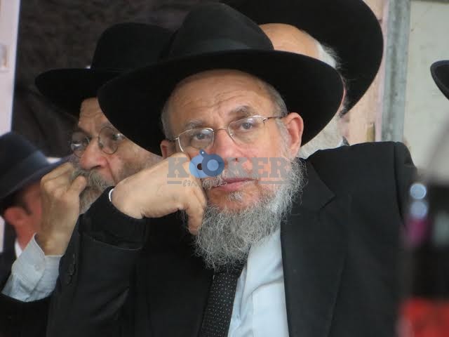 הגאון הרב לוי