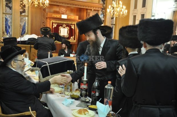 צילום: יהודה פרקוביץ