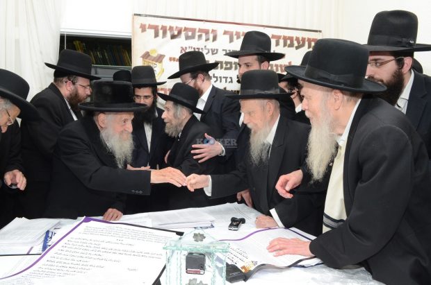 צילום: משה גולדשטיין