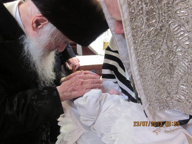 צילום: משה גולדשטיין