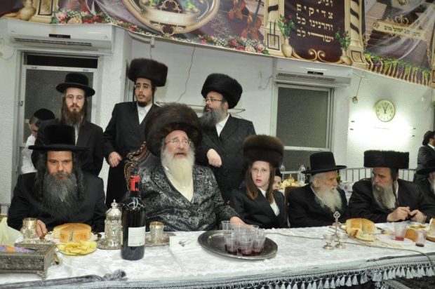 צילום: יהודה פרקוביץ