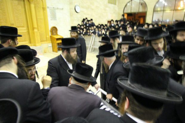 צילום: אהרון ברוך ליבוביץ