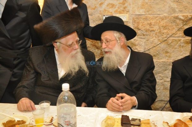 צילום: יהודה פרקוביץ
