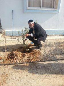 אלי אלי במה אברכך , פירותך מתוקים וצלך נאה...